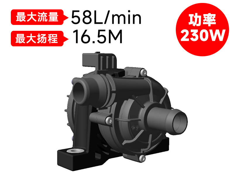 P8018汽車電子泵(12v)