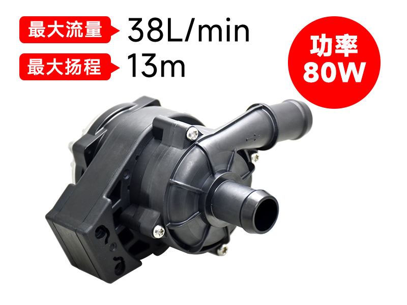 P6220汽車(chē)電子泵(80W)