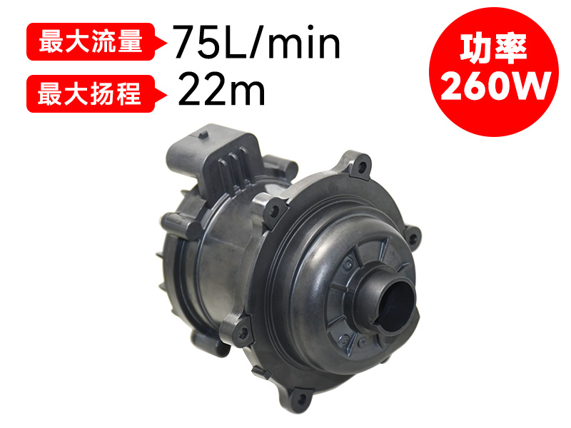 P8018汽車(chē)電子泵(24v)