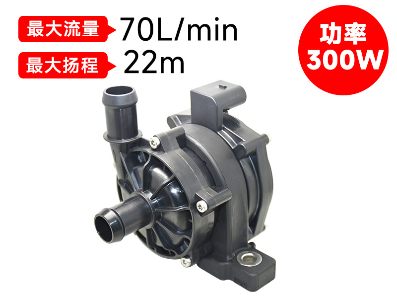 P8018汽車(chē)電子泵(12v)